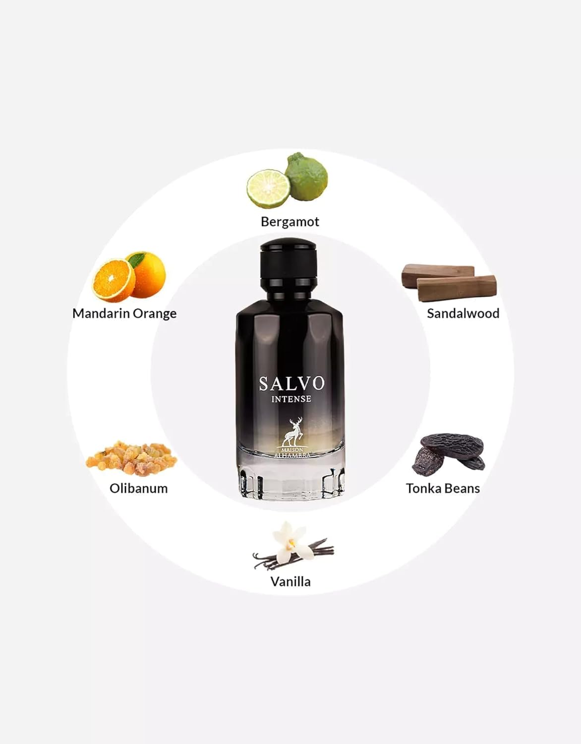 Salvo Intense by Maison Alhambra for Men