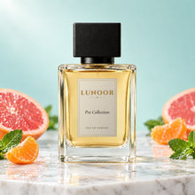 Pvt Collection by Lunoor